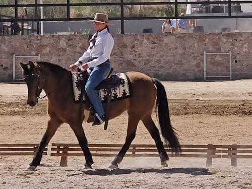 Biomechanics & Centered Riding