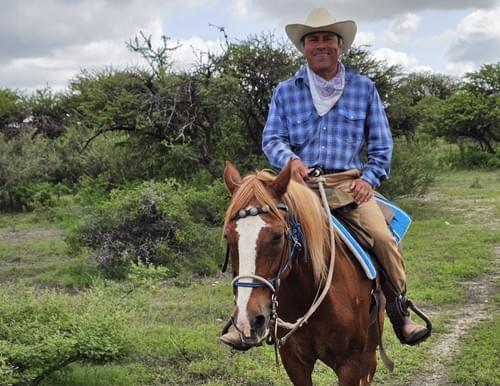 Afternoon Horseback Riding Lessons for kids.