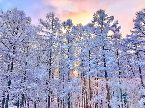 Ski Japan: Hokkaido Soul