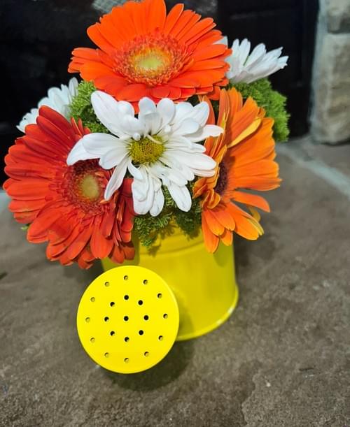 Seasonal Watering Pot