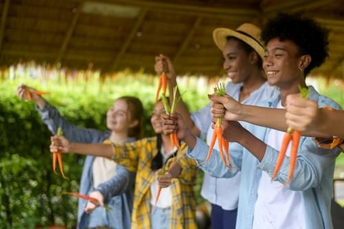 Comprehensive Farming Workshops