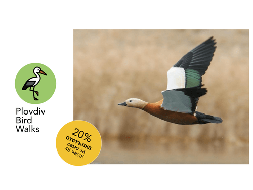 29.03.2026 - яз. Пясъчник - Обед (11:30-13:30) 2