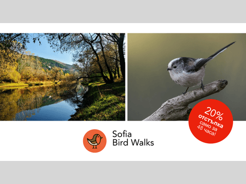 Когато езерото се събуди – птиците на Панчарево - Sofia Bird Walks - 21.03.2026 1