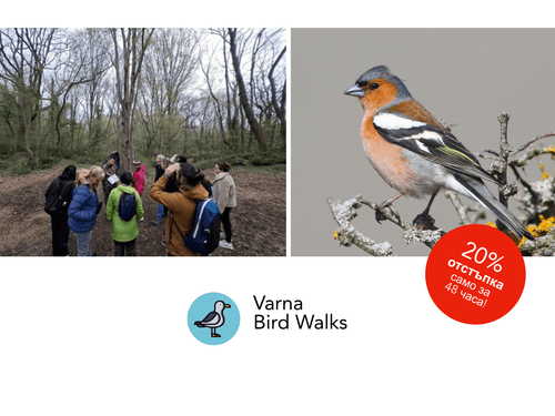 Пролетен хор в гората – Птиците на Златни пясъци - Varna Bird Walks - 21.03.2026 1