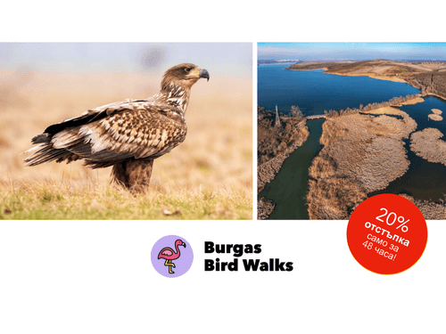 Дивият свят на устието – река Изворска - Burgas Bird Walks - 22.03.2026 1