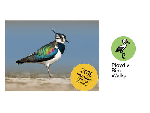 29.03.2026 - яз. Калояново - Сутрин (08:00-11:00) 1