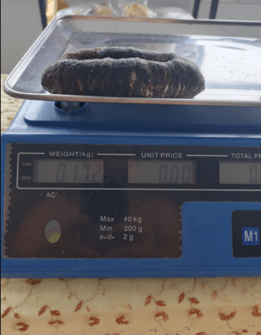 澳洲干海参***澳洲珠婆参# Sea Cucumber Medium Teat Fishs
