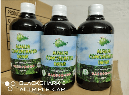 WENG YE康宜叶绿素 Liquid Alfalfa Chlorophyll Nutritional Drink(100% natural Afalfa)500ML