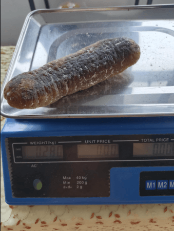 特别大优惠澳洲金山秃海参Australia sea cucumber