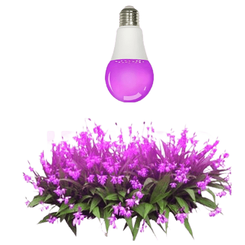 A60 Grow Light Bulb