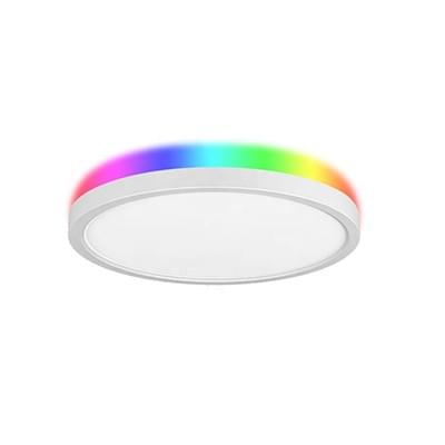 Smart Ceiling Light