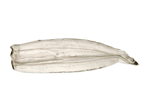 Unagi Shirayaki Fillets