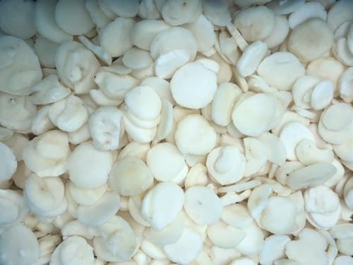 IQF Sliced Water Chestnut
