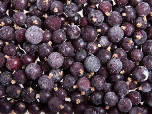 IQF Frozen Blackcurrants