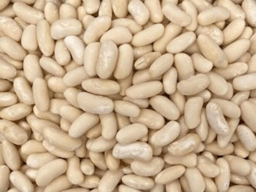 IQF White Kidney Beans