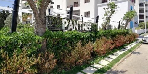 Pantree – Restaurant