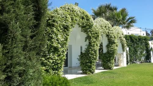 Villa Hammamet