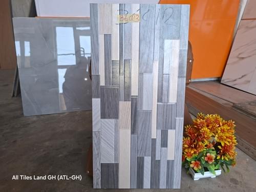 Premium Outdoor Wall Tile – 30 × 60 cm (First Grade – A01)