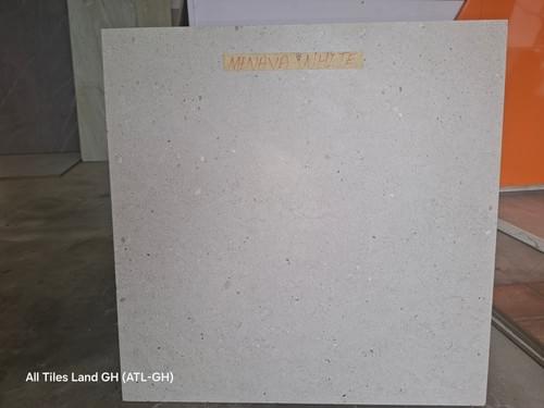 Premium Indian Porcelain Tiles 60 × 60 cm Collection