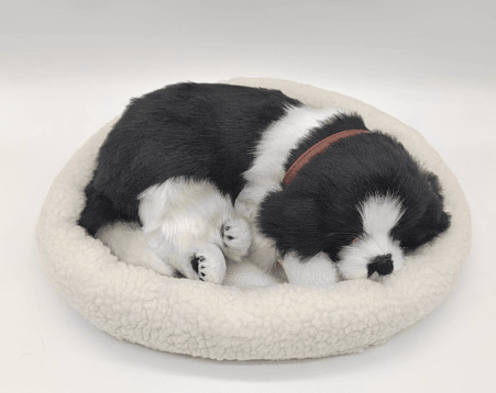 Border Collie - Breathing Pet Range