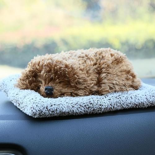 Poodle - Sleeping