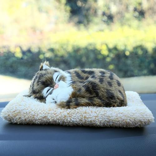 Tiger Cat - Sleeping