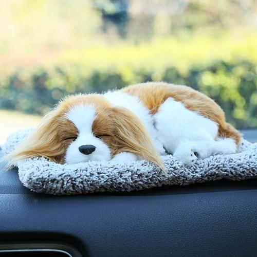 King Charles Spaniel - Sleeping