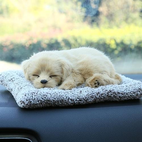 Golden Retriever - Sleeping