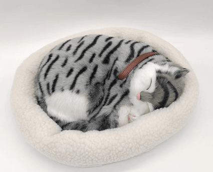 Grey Cat - Breathing