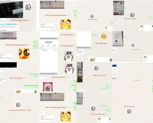 📌 案例三:中国出口电商品牌 Client C: Chinese Cross-border E-commerce Brand