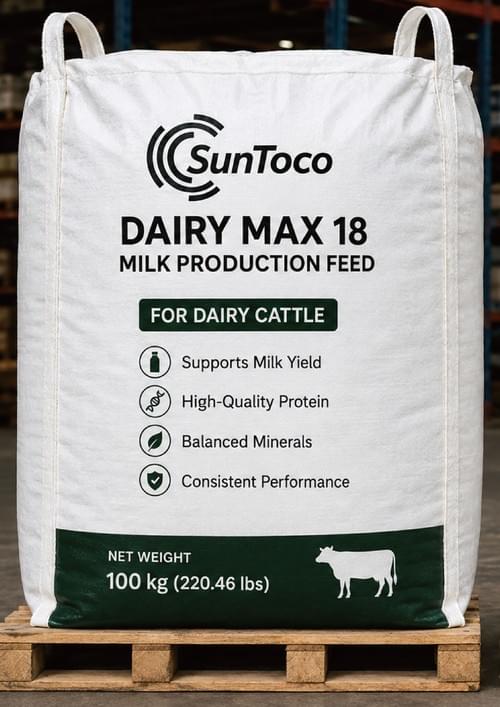 SunToco Dairy Max 18 Milk Production Feed 100kg, High‑Protein Feed for Dairy Cattle