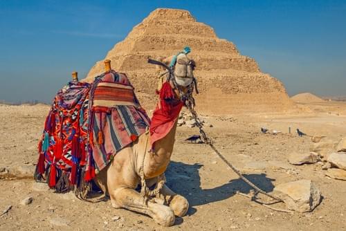 NEW: Egypt! Nile River cruise - November 9 to 21, 2027