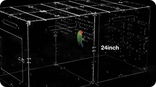 Custom Acrylic Divider Panel (1 pack) for 4x2x2ft Bird Cage