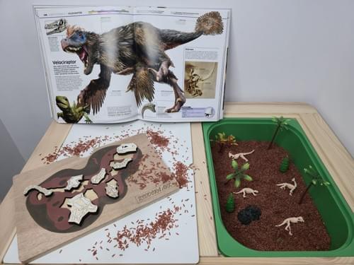 Puzzle artizanal-fosile dinozauri set 1
