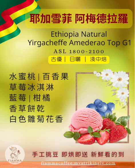 衣索比亞 阿梅德拉羅