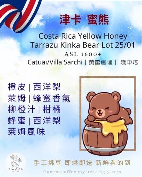 哥斯大黎加 津卡蜜熊