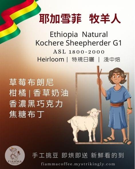 衣索比亞 牧羊人(日曬)