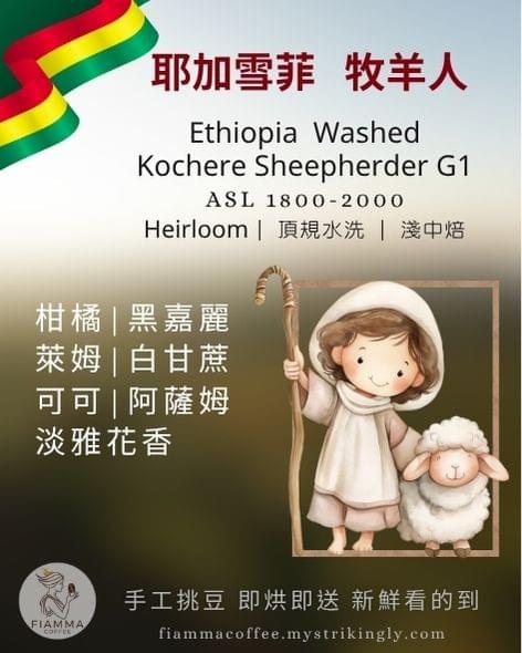 衣索比亞 牧羊人(水洗)