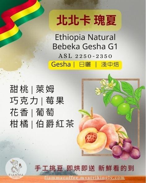 衣索比亞 瑰夏/藝伎