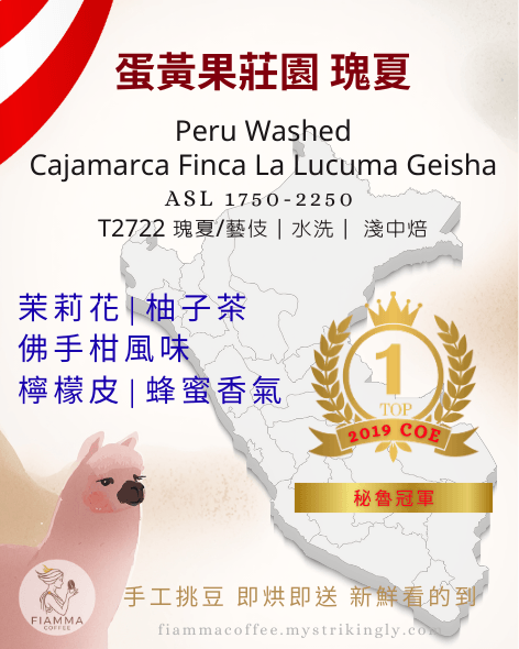 祕魯 瑰夏/藝伎