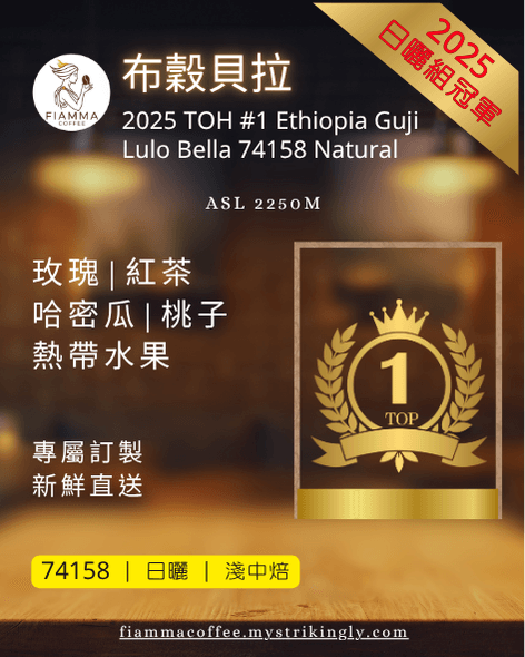 2025 TOH冠軍 布穀貝拉