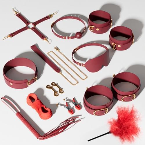 Bundled nipple clamps set Restrictive adult products S&M toys