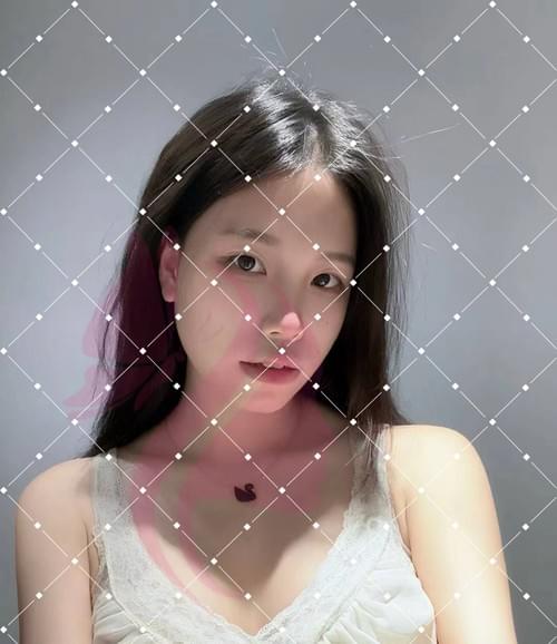 贵州 铜仁 小狗