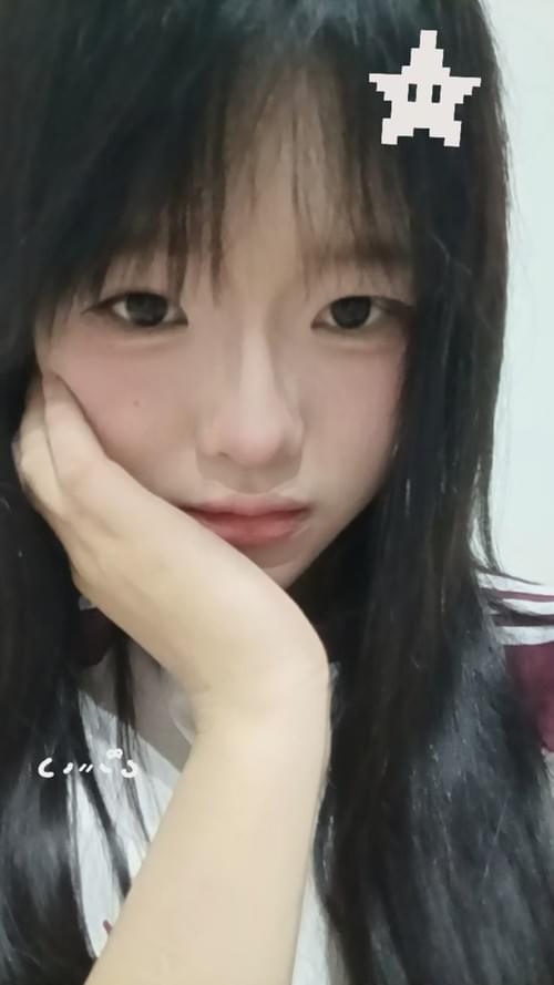 浙江 义乌 小狗