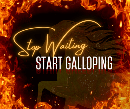 STOP WAITING. START GALLOPING. 🐎🔥