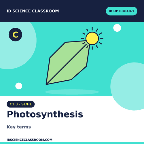C1.3 SL/HL BIOLOGY PHOTOSYNTHESIS KEYTERMS