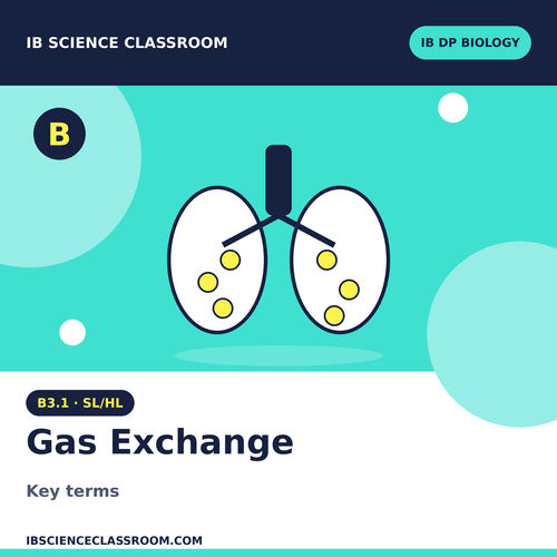B3.1 DP BIOLOGY SL/HL GAS EXCHANGE