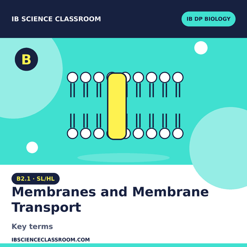 B2.1 SL/HL BIOLOGY MEMBRANE AND MEMBRANE TRANSPORT KEYTERMS