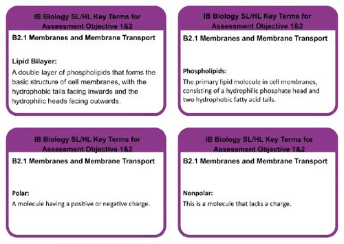 B2.1 SL/HL BIOLOGY MEMBRANE AND MEMBRANE TRANSPORT KEYTERMS