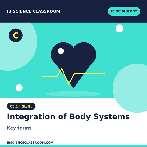 C3.1 BIOLOGY SL/HL INTEGRATION OF BODY SYSTEMS KEYTERMS